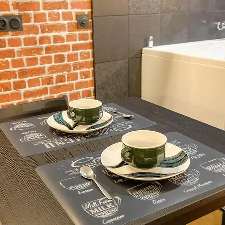 Daire Industrial-style With Bathtub, Vieux-lyon Lyon