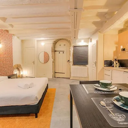 Industrial-style With Bathtub, Vieux-lyon Lyon