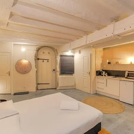 Industrial-style With Bathtub, Vieux-lyon Apartment Lyon