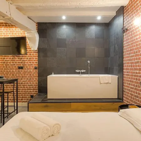 Industrial-style With Bathtub, Vieux-lyon Apartment Lyon