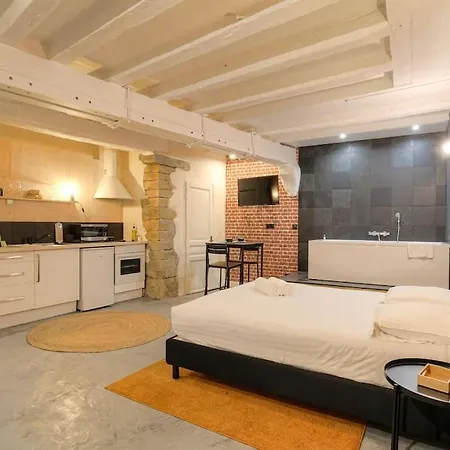 Industrial-style With Bathtub, Vieux-lyon * Lyon