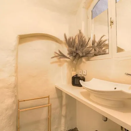 Industrial-style With Bathtub, Vieux-lyon Apartment Lyon