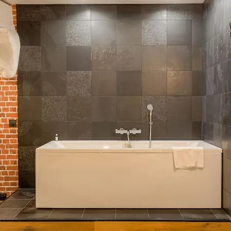 Industrial-style With Bathtub, Vieux-lyon Appartement *